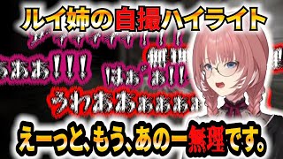 ルイ姉の自撮-jisatsu-絶叫まとめ【鷹嶺ルイ】