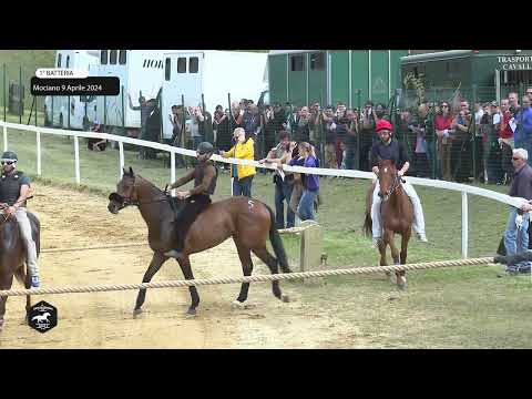 Corse In Provincia, Mociano martedi 9 Aprile 2024