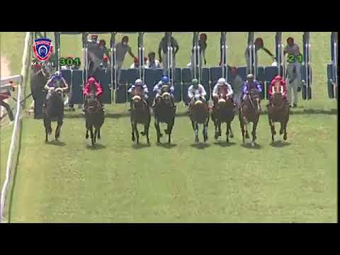 RM30 R1 | Million Dollar Man | M.Teetan