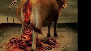 Cattle Deacapitation - Cloacula:The Anthropophagic Copromantik" (Demo)