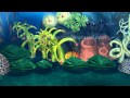 Underwater 3D Animation Semi Transparent Coral Reef
