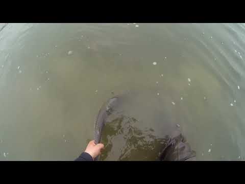 Pepefly - Fly  fishing in the Rio Grande of Tierra del Fuego, Argentina