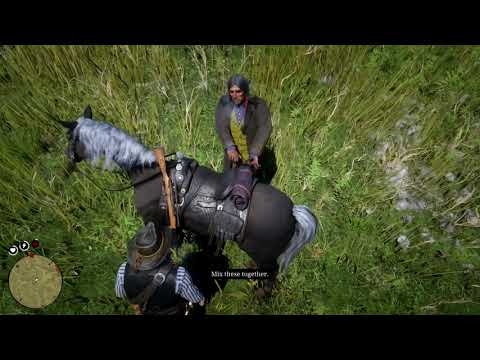 RED DEAD REDEMPTION 2 Gameplay Walkthrough Part 32
