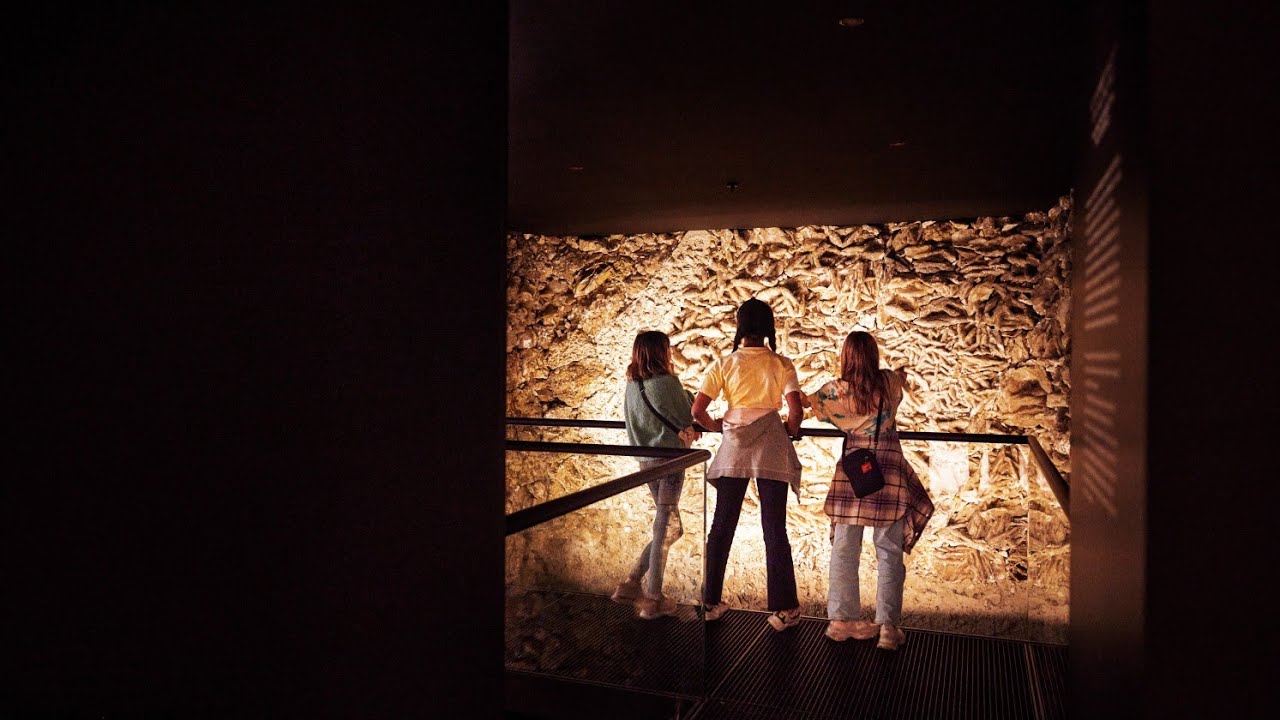 Discover the fascinating highlights of Natural History Museum.