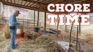 A Day In The Life Of A Farm  - Feeding Animals