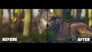 Sony Vegas 13 Test (Color Grading + Sharpen + Color Curves) -Watch In HD