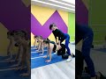 Flexible Butt Cat Stretch Repair Lumbar Disc Herniation Fitness Weight Loss