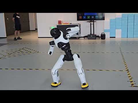 AgiBot X2-N Review Video 4