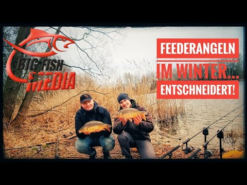 Angeln mit dem Futterkorb im Winter - Feedern mit Erfolg