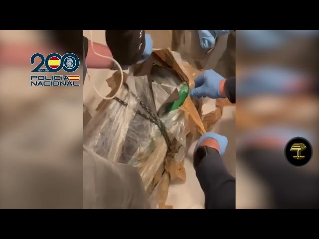 La Policía desarticula una organización criminal dedicada a la importación y exportación de cocaína