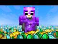 Becoming The Richest Player On The Server