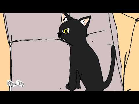 I don't give a damn about Christmas xmas special animation