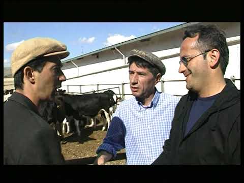 Mudù 9x1 - Telenorba