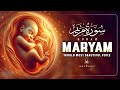 BENEFICIAL Surah Maryam سورة مريم This Recitation Really Heart Touching Habibullah TV