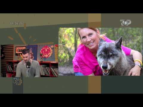 Wake Up, 20 Mars 2019, Pjesa 3 - Top Channel Albania - Entertainment Show