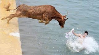 Funny Videos Of The Year
