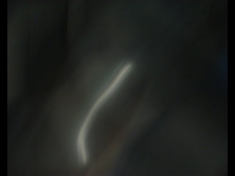Description de la vidéo