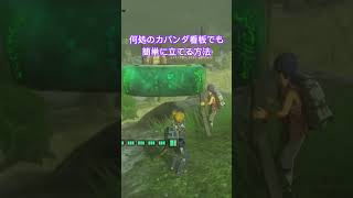 【#ゼルダの伝説ティアーズオブザキングダム 】これ一つで大丈夫カバンダ看板立て攻略