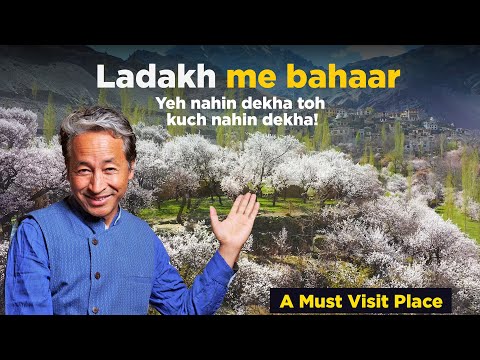 Apricot Blossom Tourism in Ladakh