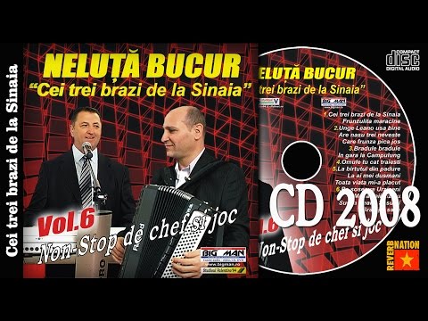 NELUTA BUCUR . Cei trei brazi de la Sinaia (oficial audio)