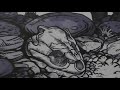 Story Of The Fossil Turtle Skull At The Royal Tyrrell Museum Of Palaeontology