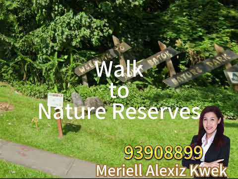 Luxurious Home near Beauty World, , 8 Bedrooms, 16,000 sqft, Detached House For Sale, by Meriell Alexiz Kwek, 24720337 - PropertyGuru.com.sg