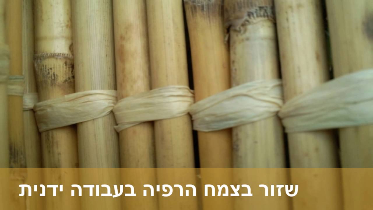 סכך לסוכה מחיר - חייג 072-2133333