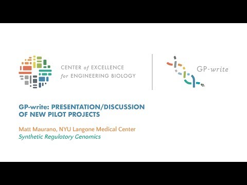 New Pilot Projects | Matt Maurano