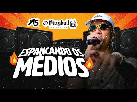 ESPANCANDO OS MÉDIOS | O PITTYBULL