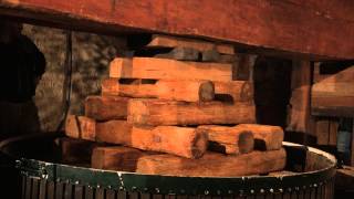 preview picture of video '350 year old wooden press at Nikolaihof'