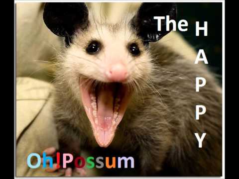 Oh!Possum - Dark Cellar Skylight