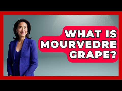 What Is Mourvedre Grape? - France Fact File