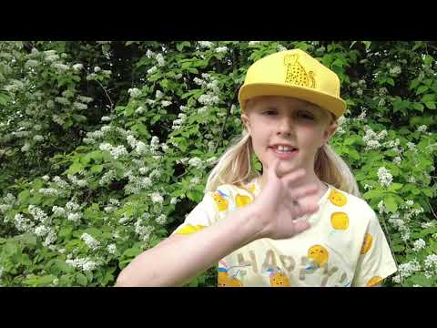 Hur ska egentligen cykelhjälmen sitta?