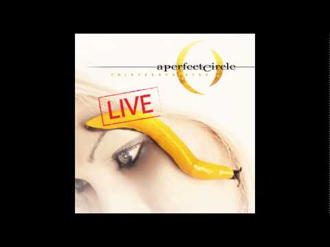 A Perfect Circle: Thirteenth Step (Live) - The Nurse Who Loved Me