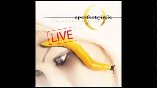 A Perfect Circle: Thirteenth Step (Live) - The Nurse Who Loved Me