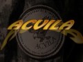 ACVILA GSPI 2008