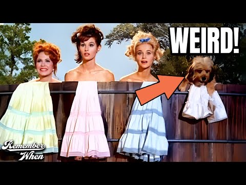 Petticoat Junction (1963): 15 Weird Facts You Didn't Know