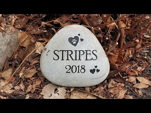 Making Your Pet Memorial Stone