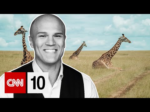 世界上最高的動物面臨危險嗎？| 2024年11月22日 (Is World's Tallest Animal In Danger? | November 22, 2024)
