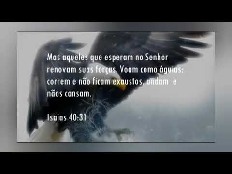 Subirei video