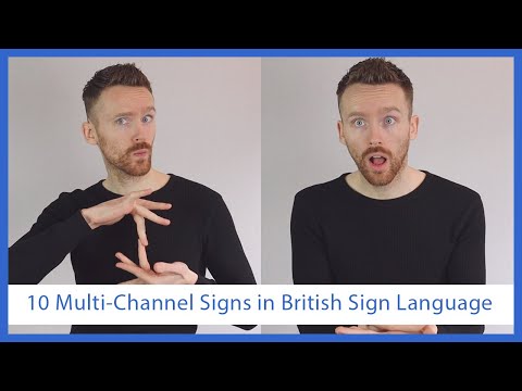 How to Sign Levels Are There in BSL