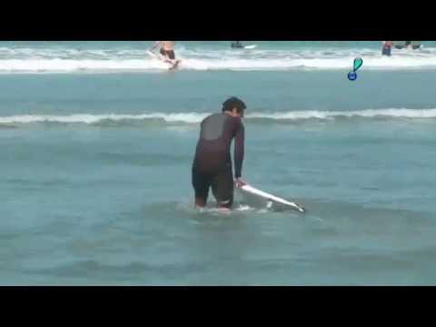 Praias internacionais para cachorros.