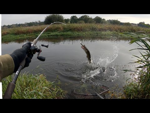 River Pike are Built Different!