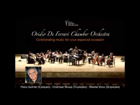 The Flight of the Bumblebee   Ovidio Chamber Orchestra