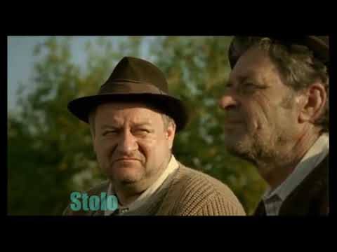 Niste tarani complet