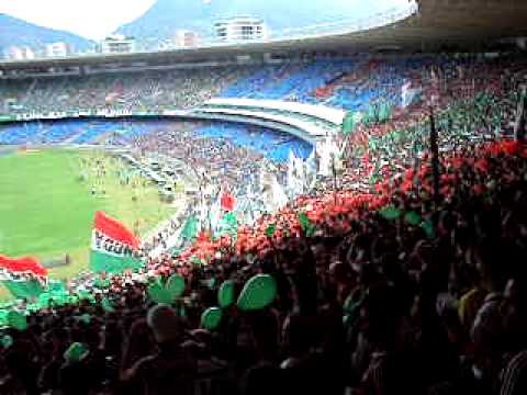 TÁ CHEGANDO A PLAYBOYZADA - FLUMINENSE 4 x 0 VITÓRIA