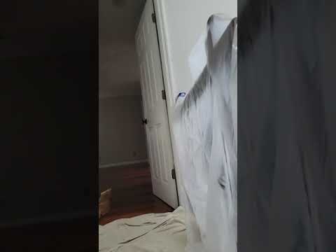 Video #11