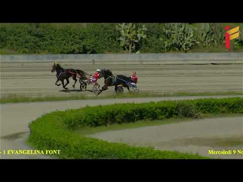 Prova di qualifica del 9 novembre 2022 - 2 Anni - Metri 2000