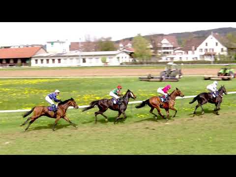 Fehraltorf/22.04.2019/Preis der Brauch Lagerhaus+Transport-HLP Architekten-Fruh Verpackungstechnique