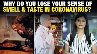 Coronavirus Symptoms: How Do You Lose Your Sense Of Taste & Smell? - CORONAVIRUS